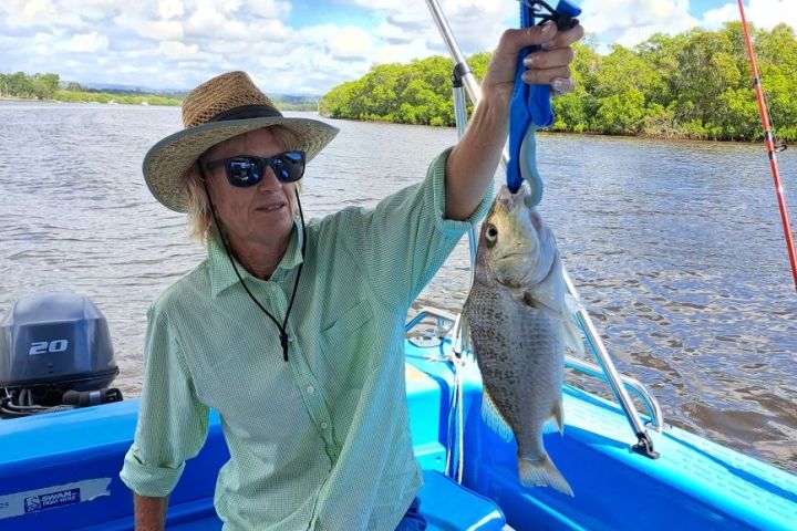 Spotted grunter bream caught in the Maroochy River.