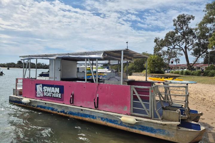 Pink boat with 'Swan Boat Hire' sign docked by a sandy shore on a sunny day.